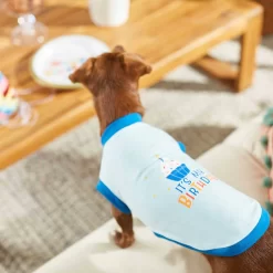 Frisco Birthday Cake Dog & Cat Hat & Frisco It's My Birthday & Cat T-Shirt -Frisco Shop 302392 PT7. AC SS1800 V1623061648