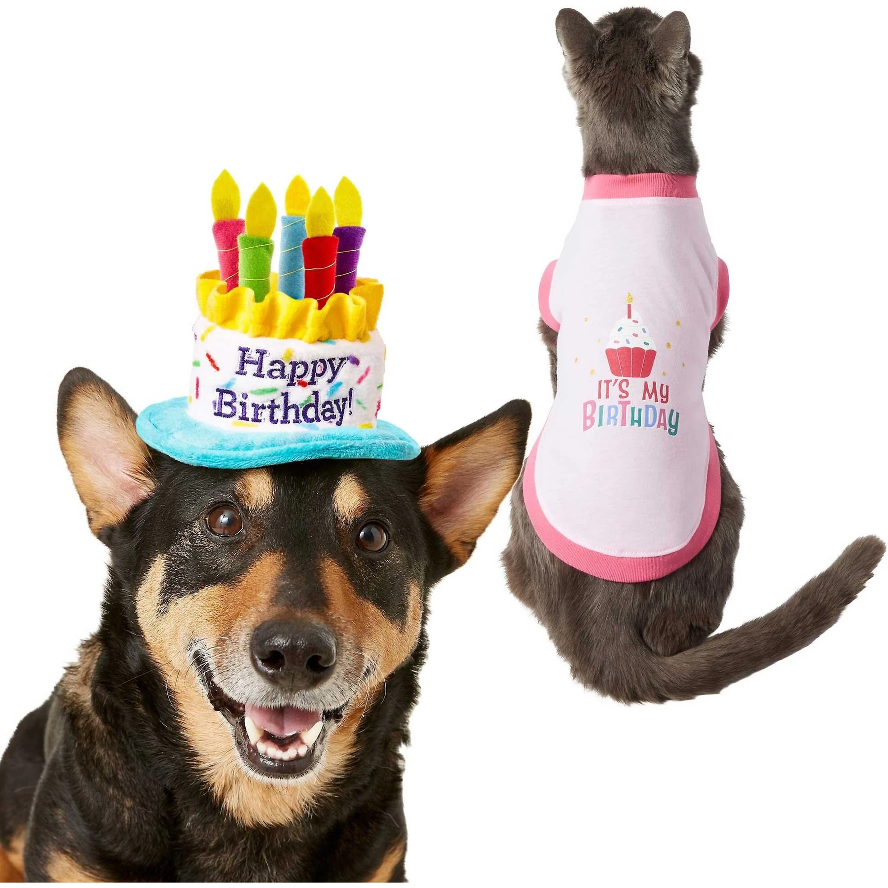 Frisco Birthday Cake Dog & Cat Hat & Frisco It's My Birthday Dog & Cat T-Shirt, Pink 1 Frisco Birthday Cake Dog & Cat Hat & Frisco It's My Birthday Dog & Cat T-Shirt, Pink