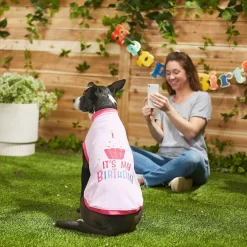 Frisco Birthday Cake Dog & Cat Hat & Frisco It's My Birthday Dog & Cat T-Shirt, Pink 16 Frisco Birthday Cake Dog & Cat Hat & Frisco It's My Birthday Dog & Cat T-Shirt, Pink -Frisco Shop 302398 PT7. AC SS1800 V1623068851