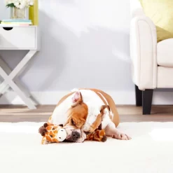 Frisco Giraffe Bungee Plush Squeaky Dog Toy & Frisco Sloth Bungee Plush Squeaky Dog Toy -Frisco Shop 302402 PT4. AC SS1800 V1623089556