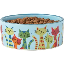 Frisco New York Non-skid Ceramic Cat Dish & Frisco New York Non-skid Ceramic Cat Bowl -Frisco Shop 302488 PT6. AC SS1800 V1623041543