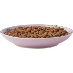 Frisco Paris Non-skid Ceramic Cat Dish & Frisco Paris Non-skid Ceramic Cat Dish 11 Frisco Paris Non-skid Ceramic Cat Dish & Frisco Paris Non-skid Ceramic Cat Dish -Frisco Shop 302490 PT2. AC SS1800 V1623058041