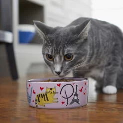 Frisco Paris Non-skid Ceramic Cat Dish & Frisco Paris Non-skid Ceramic Cat Dish 17 Frisco Paris Non-skid Ceramic Cat Dish & Frisco Paris Non-skid Ceramic Cat Dish -Frisco Shop 302490 PT8. AC SS1800 V1623043046