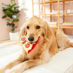 Frisco Pizza Slice Plush Squeaky Dog Toy & Frisco Taco Plush Squeaky Dog Toy -Frisco Shop 302494 PT3. AC SS1800 V1623051762