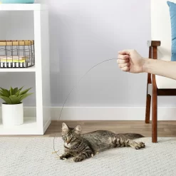 Frisco Cardboard & Wire Teaser Cat Toy & Frisco Fabric Teaser Wand Cat Toy -Frisco Shop 302538 PT3. AC SS1800 V1623035861