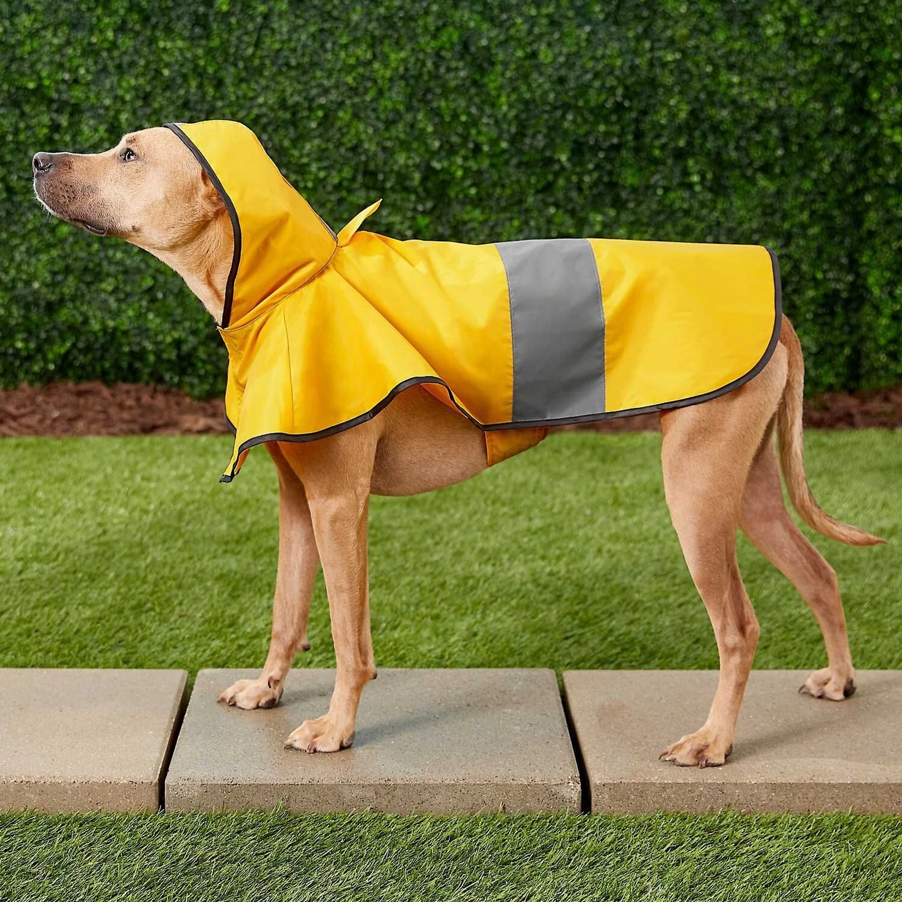 Frisco Lightweight Rainy Days Dog Raincoat & Frisco Lightweight Flamingo Dog Raincoat 5 Frisco Lightweight Rainy Days Dog Raincoat & Frisco Lightweight Flamingo Dog Raincoat - Image 5