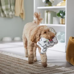 Frisco St. Patrick's Thought Bubble Reversible Plush Squeaky Dog Toy -Frisco Shop 303134 PT4. AC SS1800 V1702500565