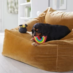 Frisco St. Patrick's Rainbow And Pot Of Gold Latex Squeaky Dog Toy -Frisco Shop 303136 PT4. AC SS1800 V1702500566