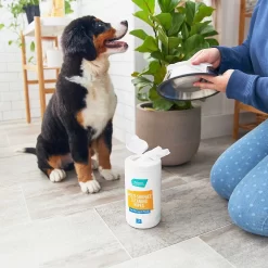 Catit Flower Plastic Cat Fountain & Frisco Pet Toy & Bowl Cleaning Wipes, 70 Count -Frisco Shop 303288 PT7. AC SS1800 V1623047247