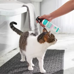 Frisco Aloe Hydrating Dog & Cat Spray, Sweet Nectar Scent & Frisco Oatmeal Dog & Cat Shampoo, Almond Scent -Frisco Shop 303372 PT4. AC SS1800 V1623076060