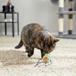 Frisco Cactus Cat Scratching Post & Frisco Dangly Avocado Buddy Plush Cat Toy With Catnip -Frisco Shop 303380 PT6. AC SS1800 V1623085642