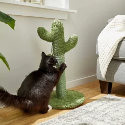 Frisco Novelty Unicorn Covered Cat & Dog Bed & Frisco Cactus Cat Scratching Post 15 Frisco Novelty Unicorn Covered Cat & Dog Bed & Frisco Cactus Cat Scratching Post -Frisco Shop 303496 PT7. AC SS1800 V1623062246