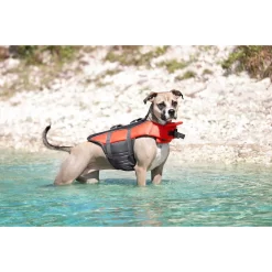Frisco Ripstop Dog Life Jacket & Frisco Foam Rubber Floating Fetch Ball No Squeak Dog Toy -Frisco Shop 303546 PT4. AC SS1800 V1623046643