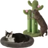 Frisco Self Warming Bolster Round Kitten Bed & Frisco Cactus Cat Scratching Post