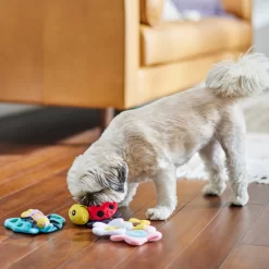 Frisco Spring Pack Plush Squeaky Dog Toy -Frisco Shop 304950 PT4. AC SS1800 V1703184715