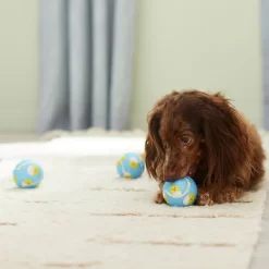 Frisco Easter Fetch Squeaky Tennis Ball Dog Toy, Medium, 3 Count -Frisco Shop 304964 PT4. AC SS1800 V1703184745