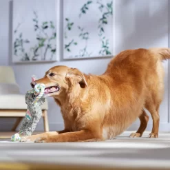 Frisco Easter Bunny Plush With Rope Squeaky Dog Toy -Frisco Shop 304974 PT4. AC SS1800 V1702500566