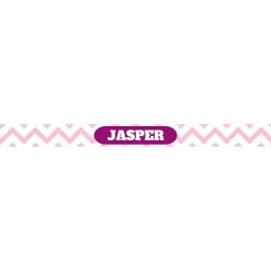 Frisco Personalized Chevron Ceramic Dog & Cat Bowl -Frisco Shop 306760 PT2. AC SS1800 V1635968780