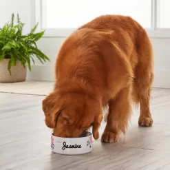 Frisco Personalized Rustic Ceramic Dog Bowl, 4.75-cup, 38oz -Frisco Shop 306764 PT4. AC SS1800 V1639518092