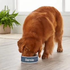 Frisco Personalized Heathered Ceramic Dog Bowl, 4.75-cup, 38oz -Frisco Shop 306767 PT4. AC SS1800 V1639518089