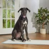 Frisco Giant Non-Skid Ultra Premium Dog Training & Potty Pads