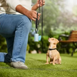 Frisco Dog Poop Bag Square Design Dispenser -Frisco Shop 309816 PT5. AC SS1800 V1670276147