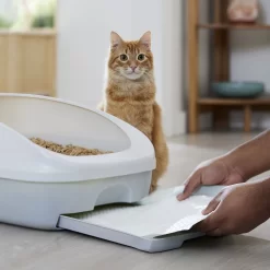 Frisco Cat Litter Pads, Scented -Frisco Shop 309828 PT5. AC SS1800 V1675280050