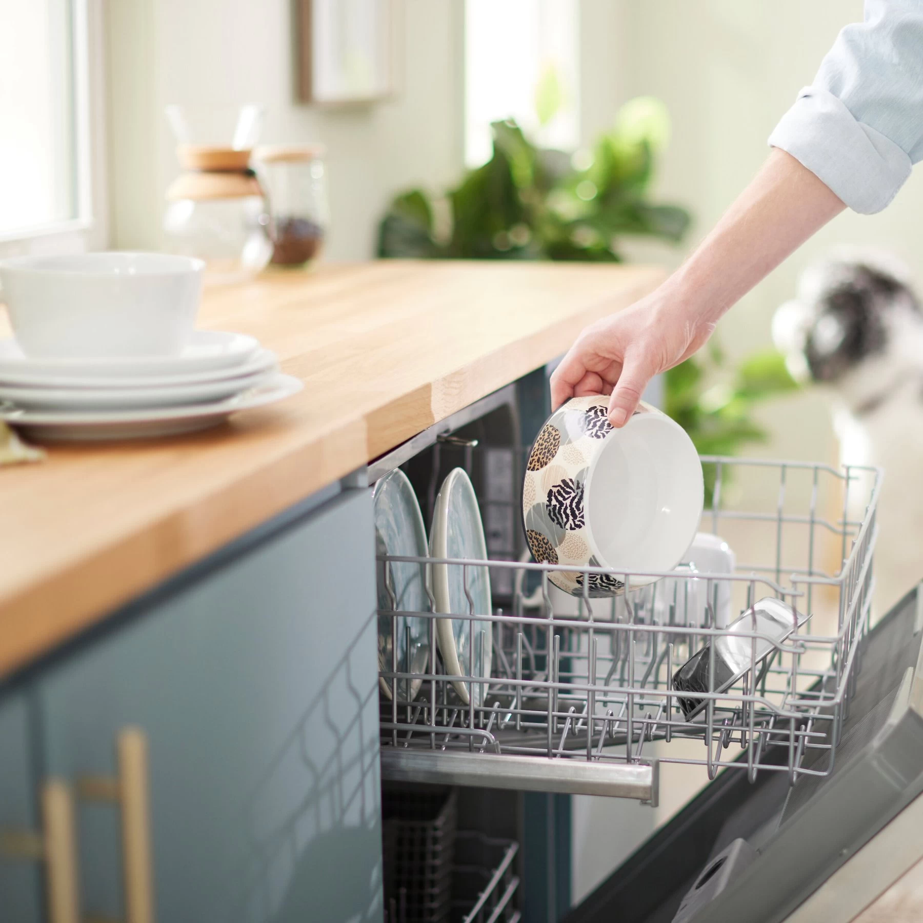 Frisco Animal Design Stainless Steel Dog & Cat Bowl 8 Frisco Animal Design Stainless Steel Dog & Cat Bowl - Image 8