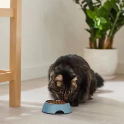 Frisco Coral Design Stainless Steel Dog & Cat Bowl 11 Frisco Coral Design Stainless Steel Dog & Cat Bowl -Frisco Shop 311972 PT3. AC SS1800 V1642542435