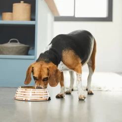 Frisco Copper Print Design Stainless Steel Dog & Cat Bowl -Frisco Shop 311975 PT2. AC SS1800 V1642542895