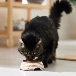 Frisco Copper Print Design Stainless Steel Dog & Cat Bowl -Frisco Shop 311975 PT3. AC SS1800 V1642542357