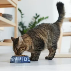 Frisco Leaf Design Stainless Steel Dog & Cat Bowl -Frisco Shop 311980 PT3. AC SS1800 V1642542556