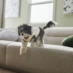 Frisco Problem Child Dog & Cat T-Shirt -Frisco Shop 312064 PT5. AC SS1800 V1673303462