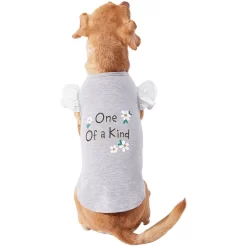 Frisco One Of A Kind Dog & Cat T-Shirt -Frisco Shop 312080 PT3. AC SS1800 V1673303002