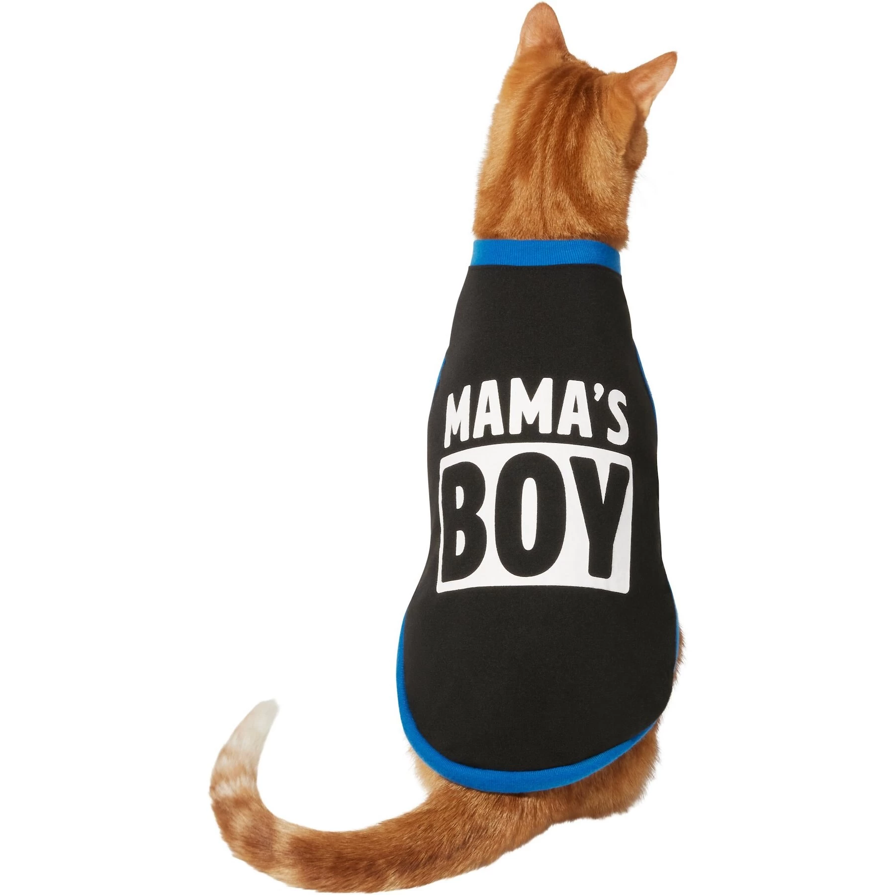 Frisco Mama's Boy Dog & Cat T-Shirt 3 Frisco Mama's Boy Dog & Cat T-Shirt - Image 3