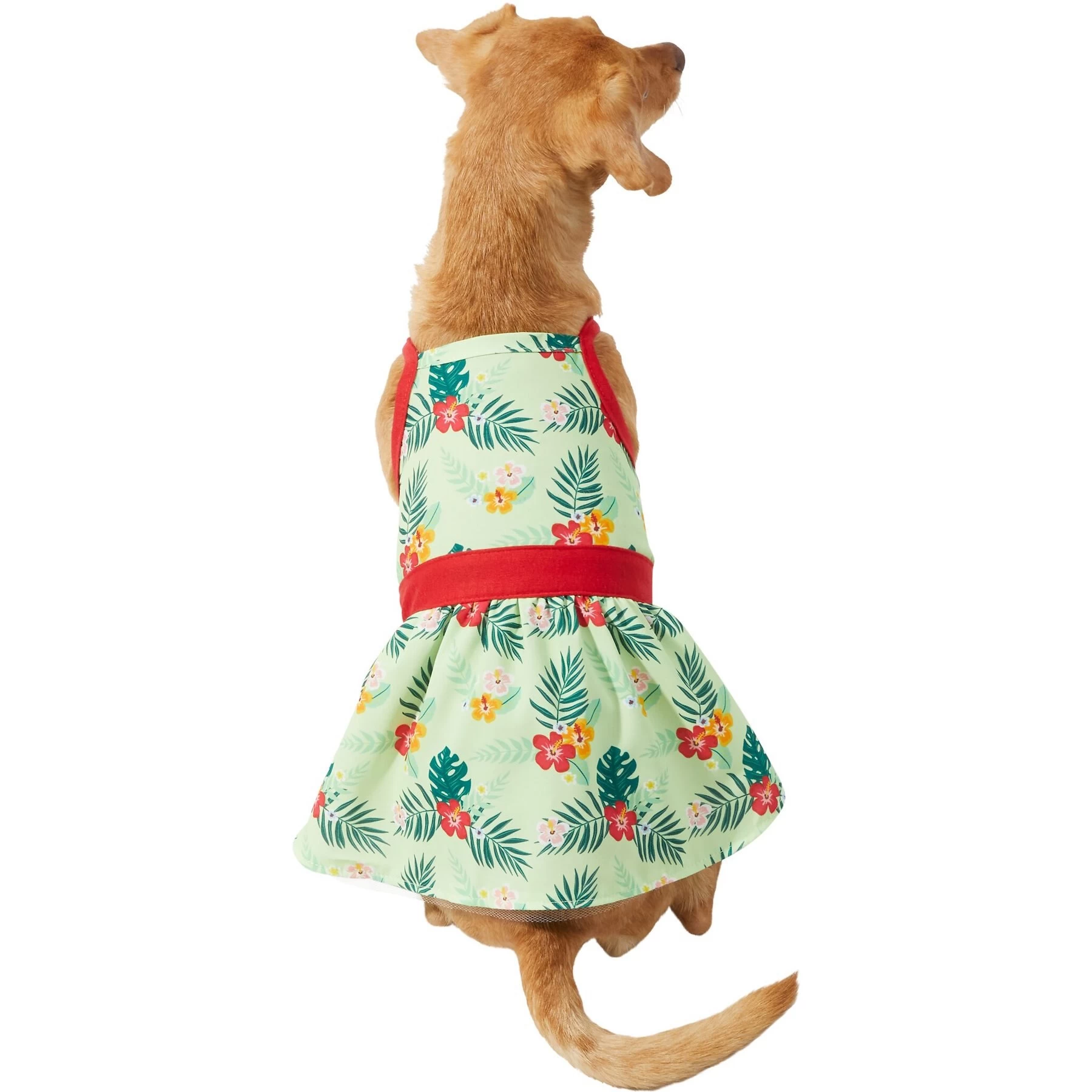 Frisco Hawaiian Floral Dog & Cat Dress 1 Frisco Hawaiian Floral Dog & Cat Dress