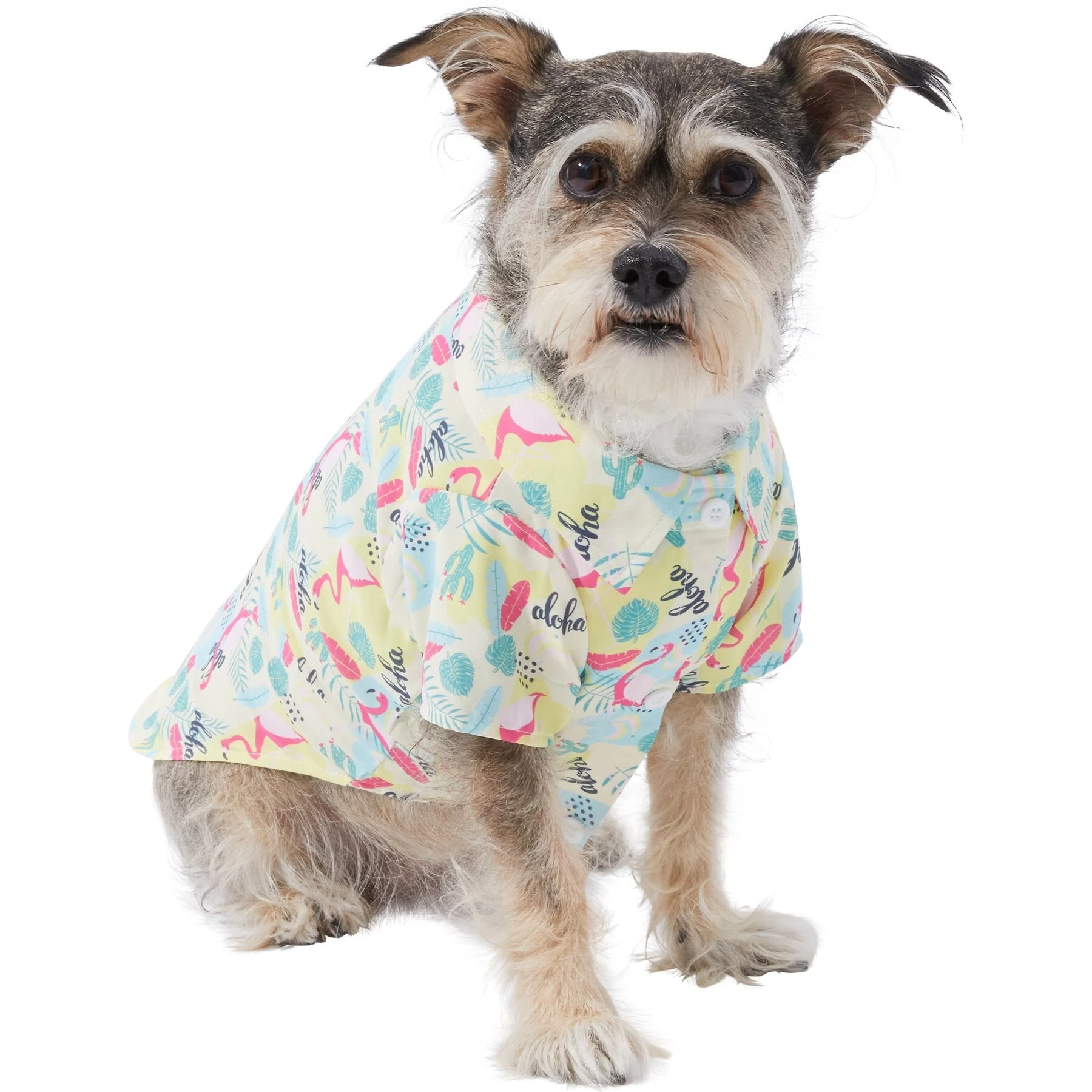 Frisco Flamingo Camp Dog & Cat Shirt 1 Frisco Flamingo Camp Dog & Cat Shirt