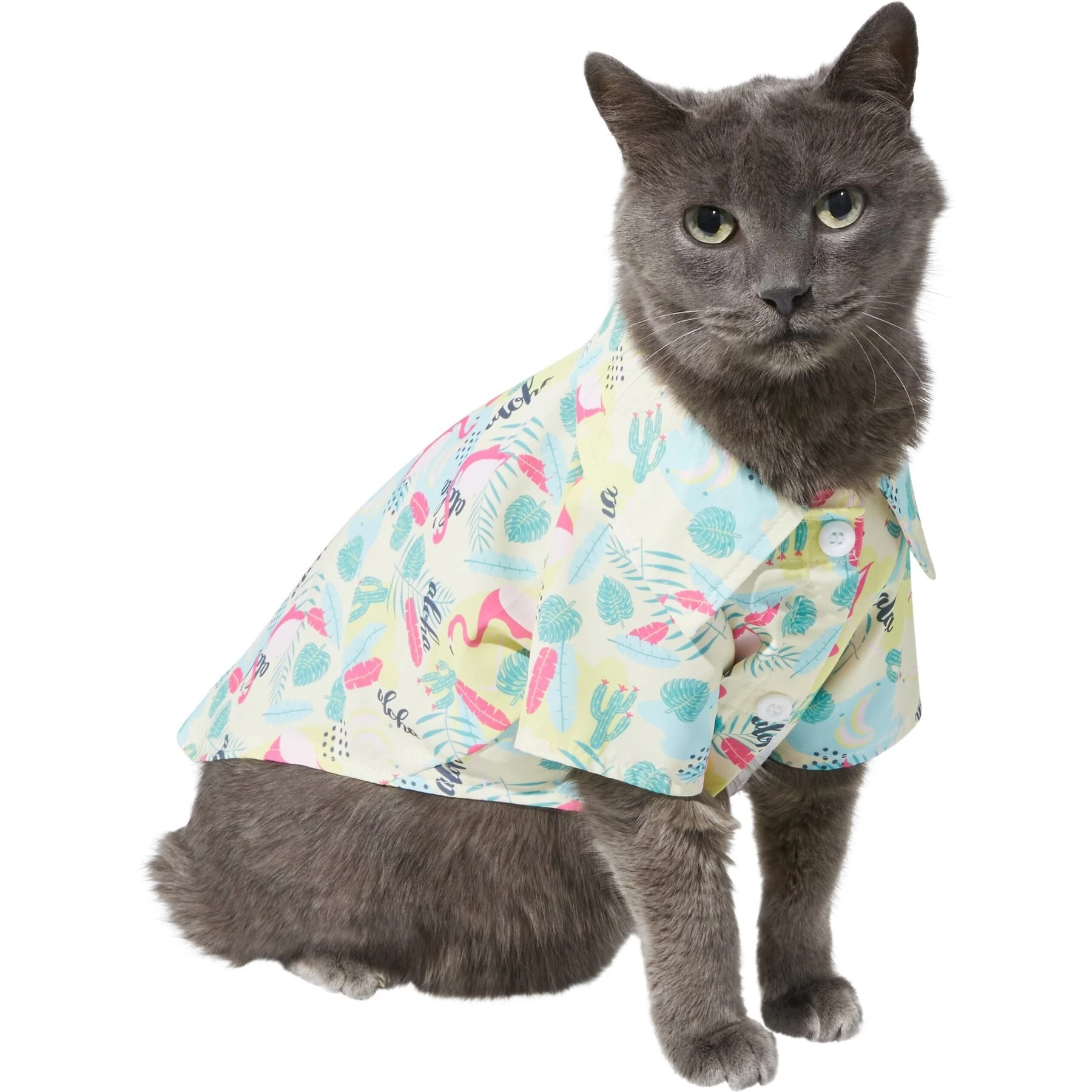 Frisco Flamingo Camp Dog & Cat Shirt 3 Frisco Flamingo Camp Dog & Cat Shirt - Image 3