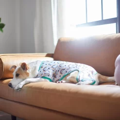 Frisco Rainbow Dog & Cat PJs -Frisco Shop 312283 PT8. AC SS1800 V1644879887