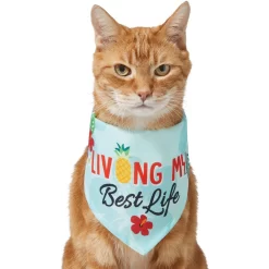 Frisco Living My Best Life Dog & Cat Bandana -Frisco Shop 312288 PT2. AC SS1800 V1644884916