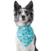 Frisco Spring Floral Dog & Cat Bandana