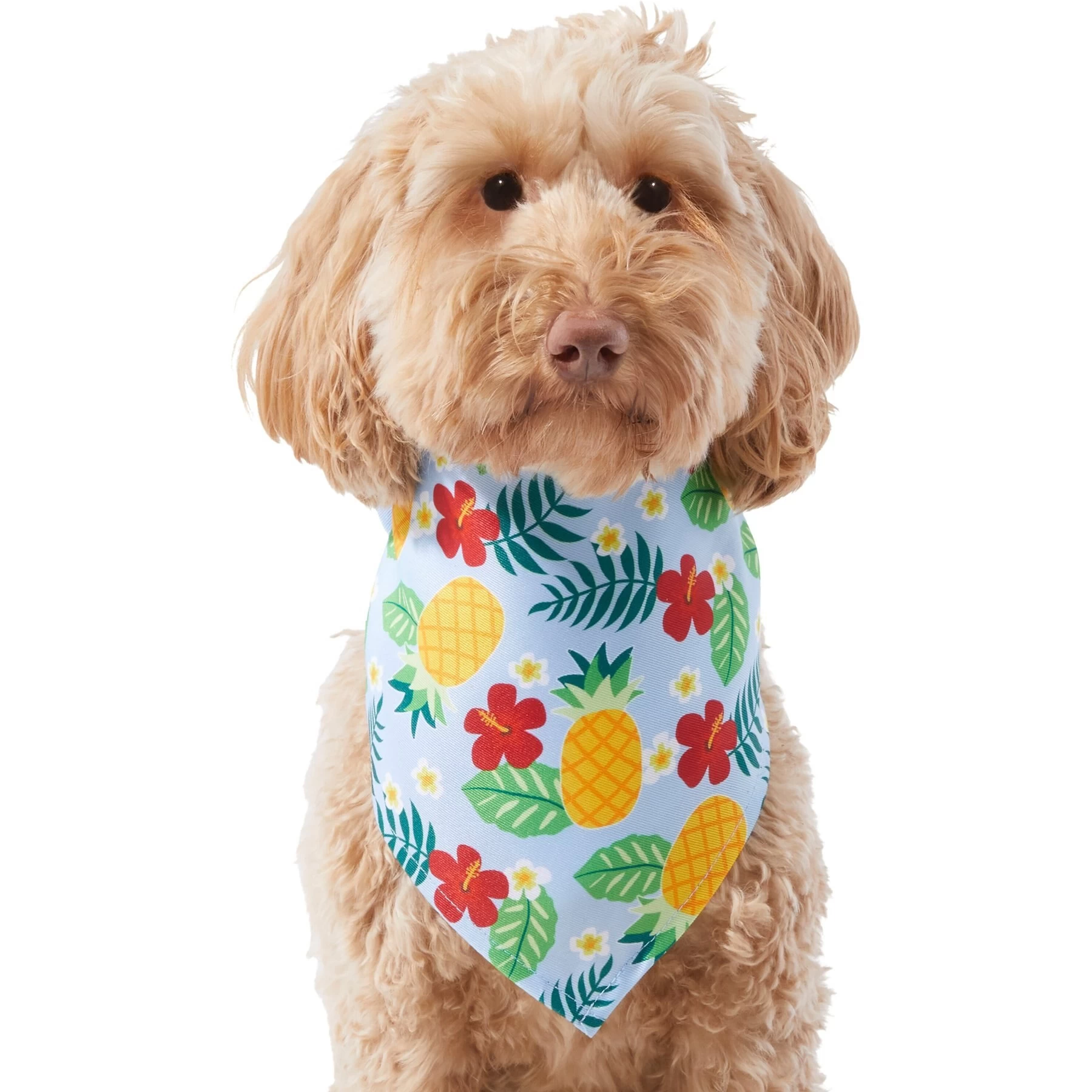Frisco Hawaiian Pineapple Dog & Cat Bandana 1 Frisco Hawaiian Pineapple Dog & Cat Bandana