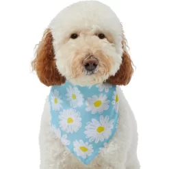 Frisco Daisy Dog & Cat Bandana -Frisco Shop 312303 PT3. AC SS1800 V1673302704