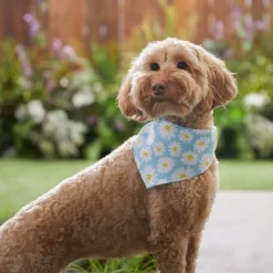 Frisco Daisy Dog & Cat Bandana -Frisco Shop 312303 PT5. AC SS1800 V1673304453
