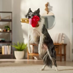 Frisco Valentine Ice Cream Plush Squeaky Dog Toy -Frisco Shop 312895 PT3. AC SS1800 V1701364917