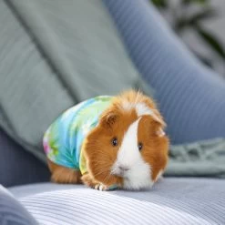 Frisco Pineapple Hawaiian Camp Guinea Pig Shirt -Frisco Shop 313122 PT8. AC SS1800 V1644524562