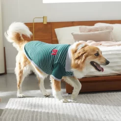 Frisco Green Rugby Dog & Cat Polo Shirt -Frisco Shop 315084 PT8. AC SS1800 V1646436749