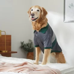 Frisco Green Striped Polo Dog & Cat Shirt -Frisco Shop 315091 PT8. AC SS1800 V1646434389