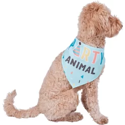 Frisco Party Animal Dog & Cat Bandana