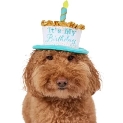 Frisco It's My Birthday Dog & Cat Hat -Frisco Shop 315142 PT2. AC SS1800 V1646436466
